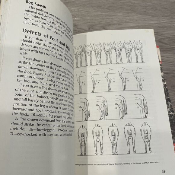 VTG Lot Of 4 Boy Scouts Of America Merit Badge Series Boys Life Handbook - Picture 9 of 11